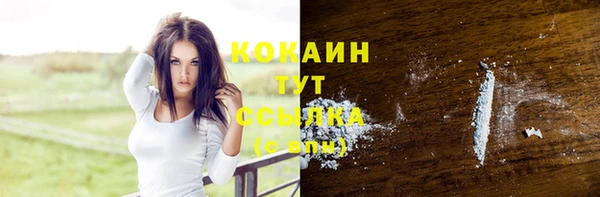 спиды Абаза