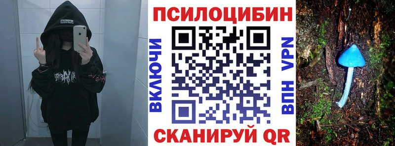 где найти   Зарайск  Галлюциногенные грибы Cubensis 